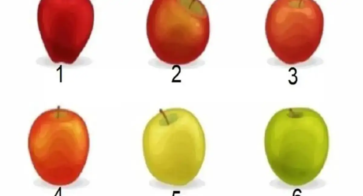Decouvre Qui Tu Es Vraiment Grace A Ce Test De Personnalite Incroyable !