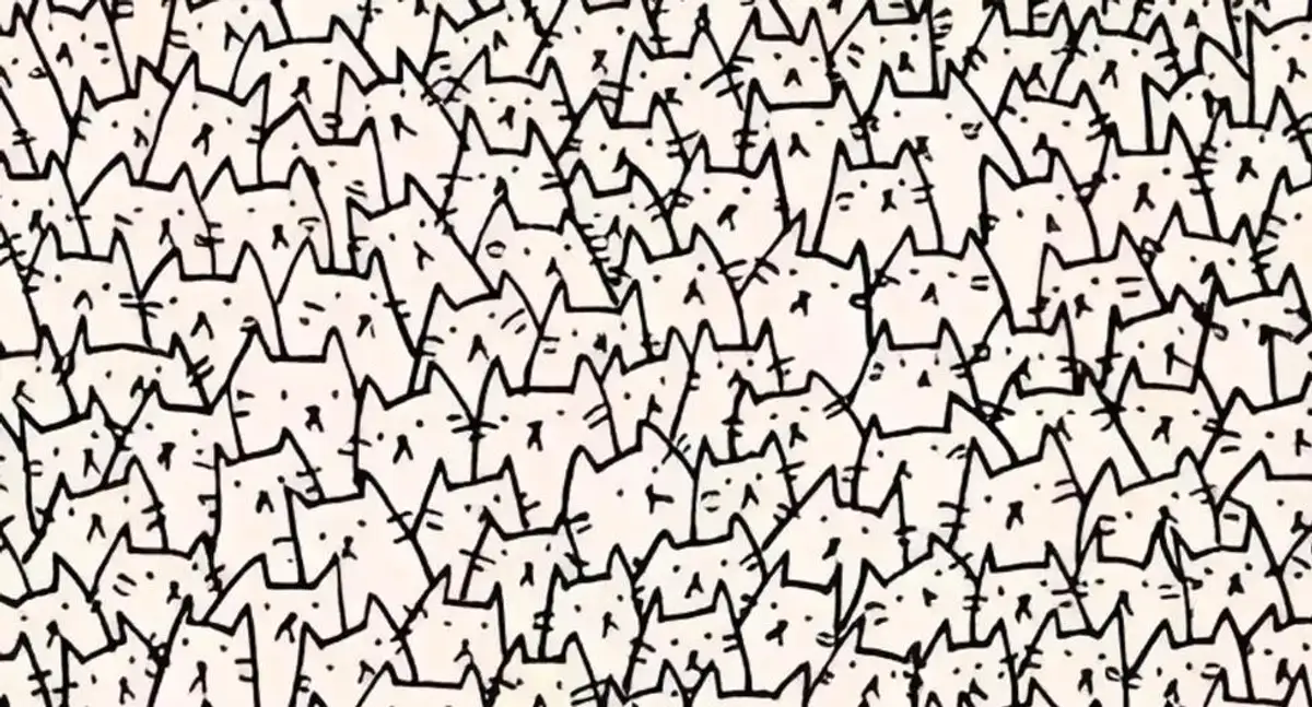 Le Chien Dissimule Parmi Les Chats : Defi Visuel Captivant !