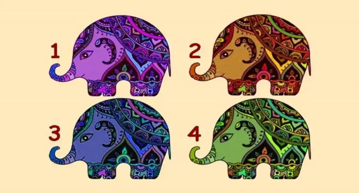 Test Visuel : Revele Ta Veritable Force Personnelle Avec Cet Elephant